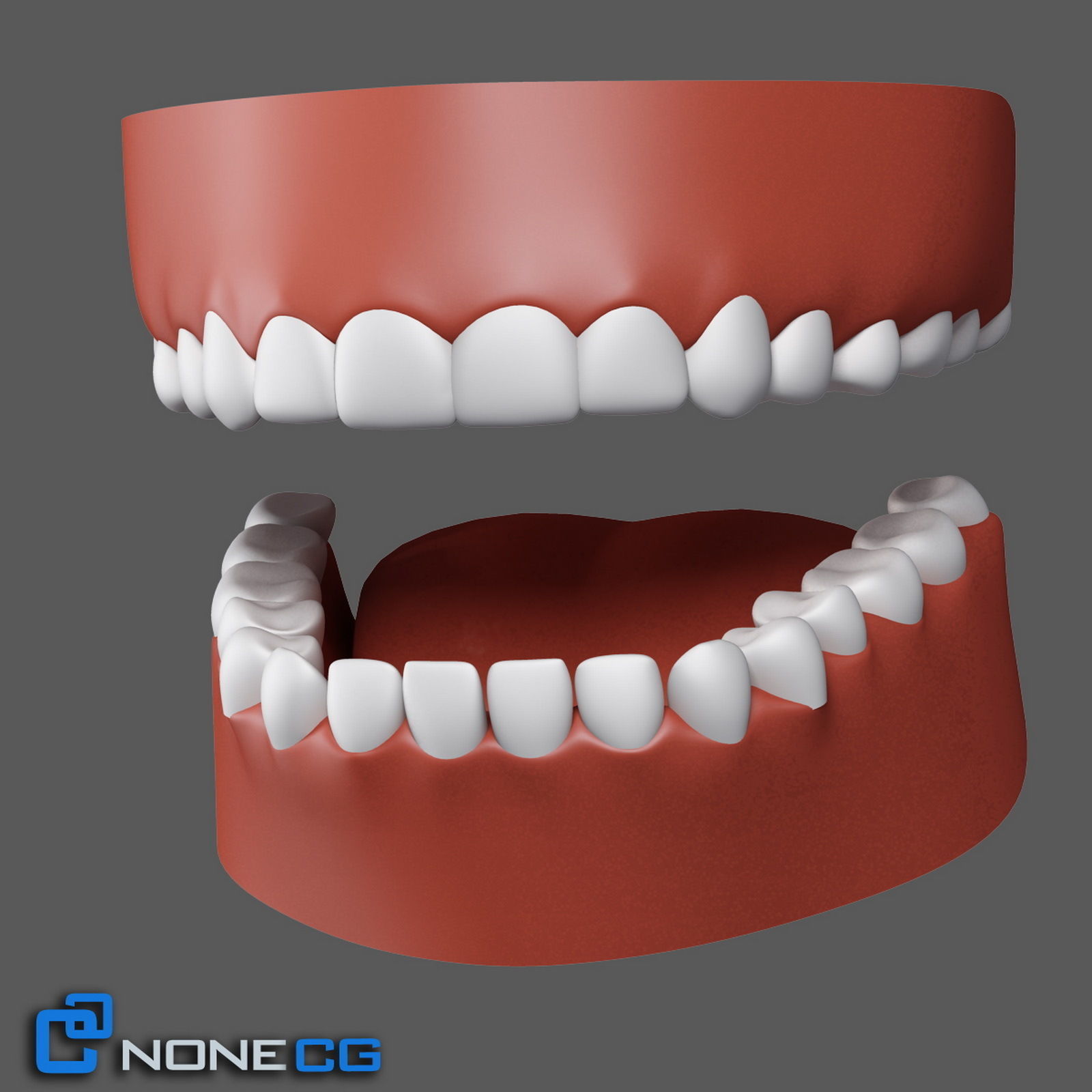 Adult Male Head Rigged 3D model_18