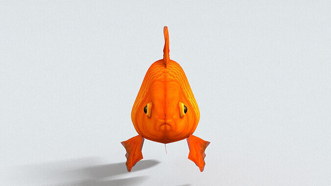 laos Goldfish Low-poly 3D model