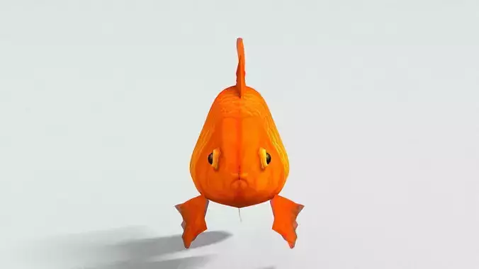 laos Goldfish
