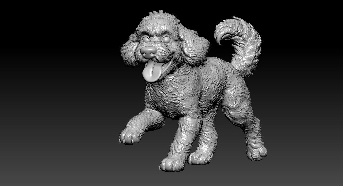 Cockapoo Dog Posing statue - 3D print 3D print model_2