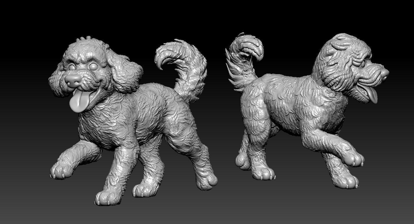 Cockapoo Dog Posing statue - 3D print 3D print model_1