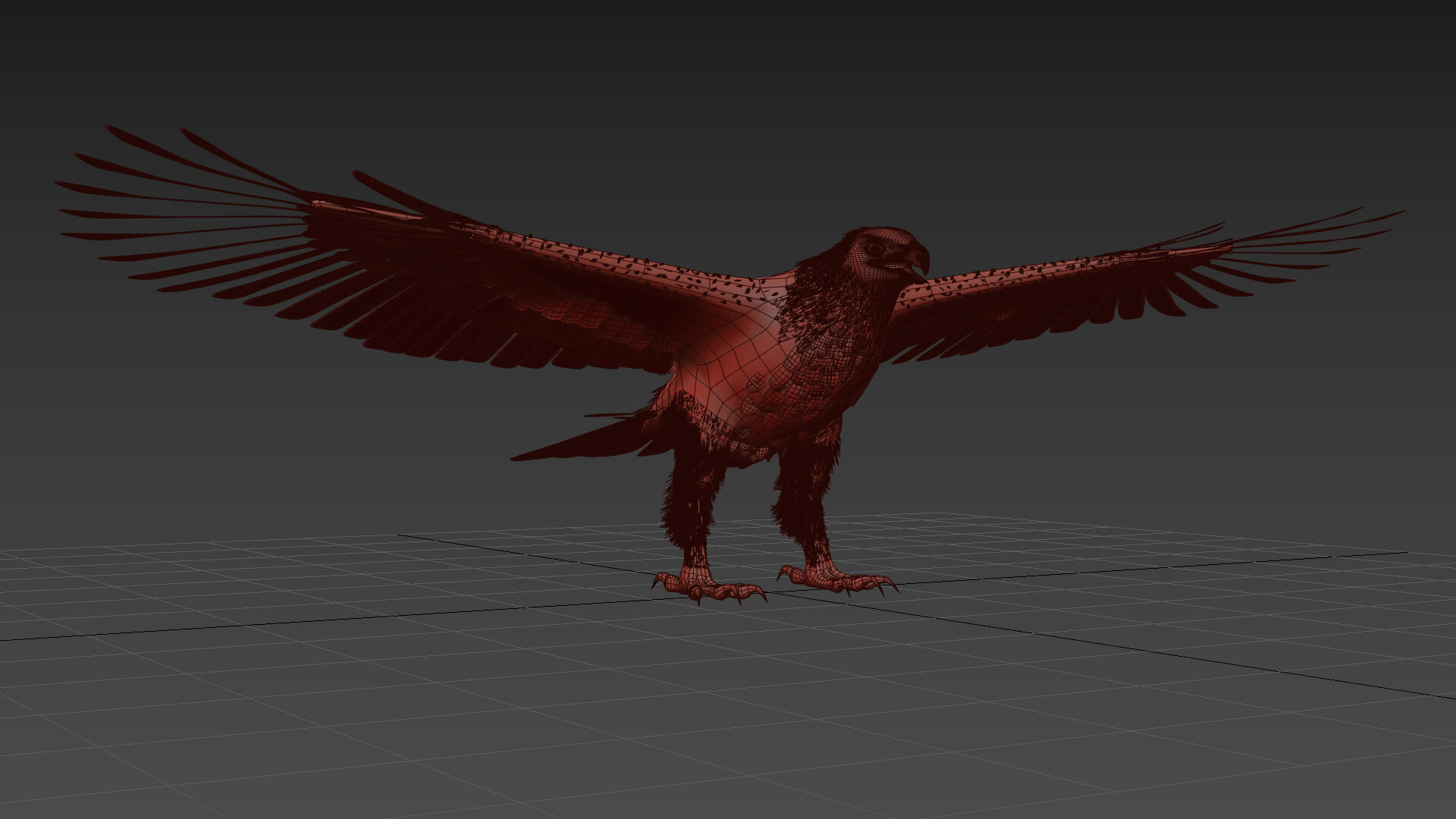Eagle Aguia Shape 3D model_7