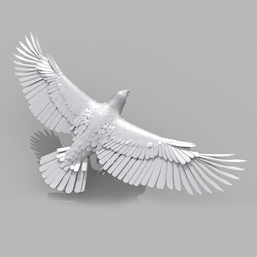 Eagle Aguia Shape 3D model