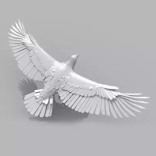 Eagle Aguia Shape 3D model