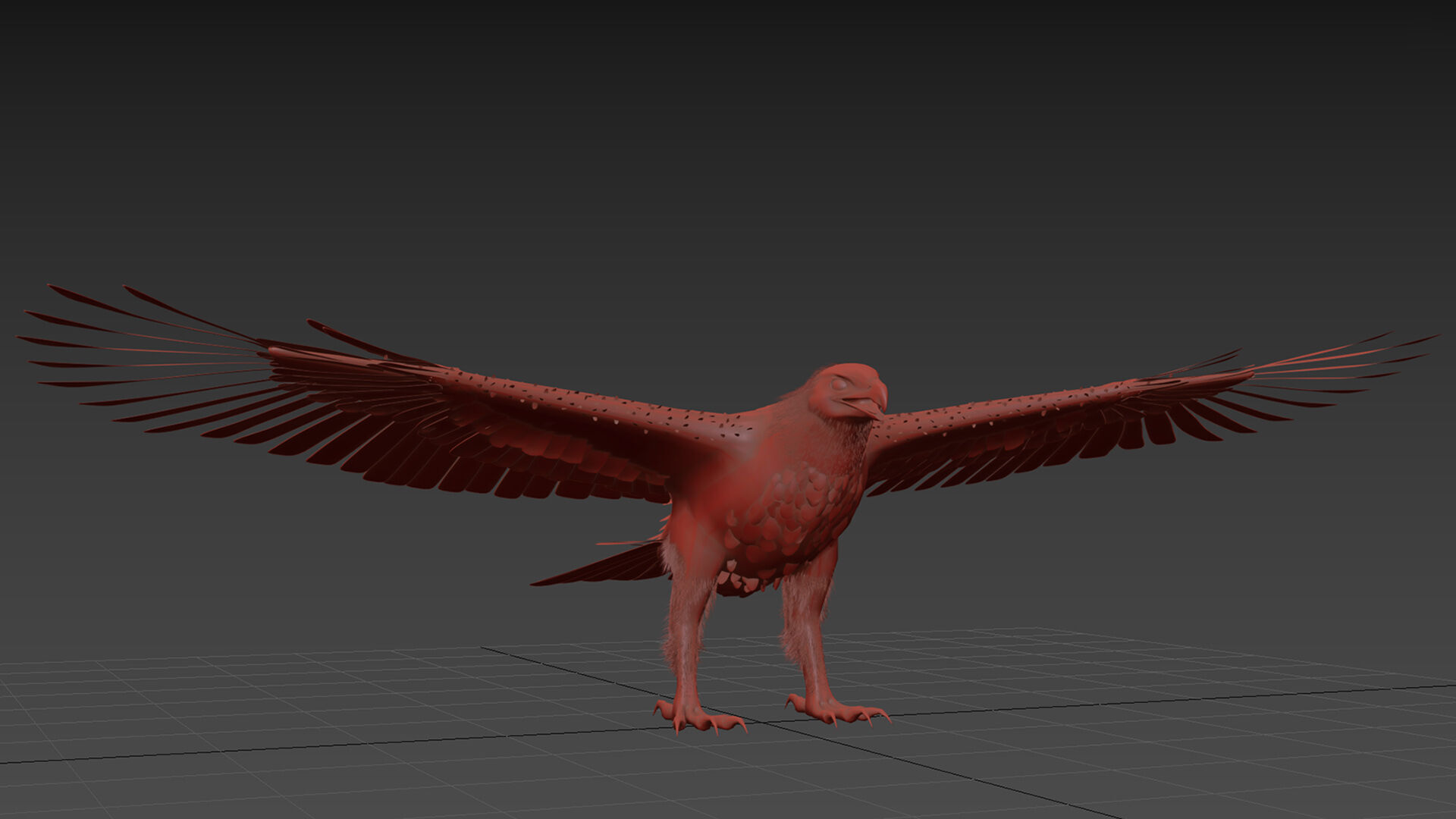 Eagle Aguia Shape 3D model_11