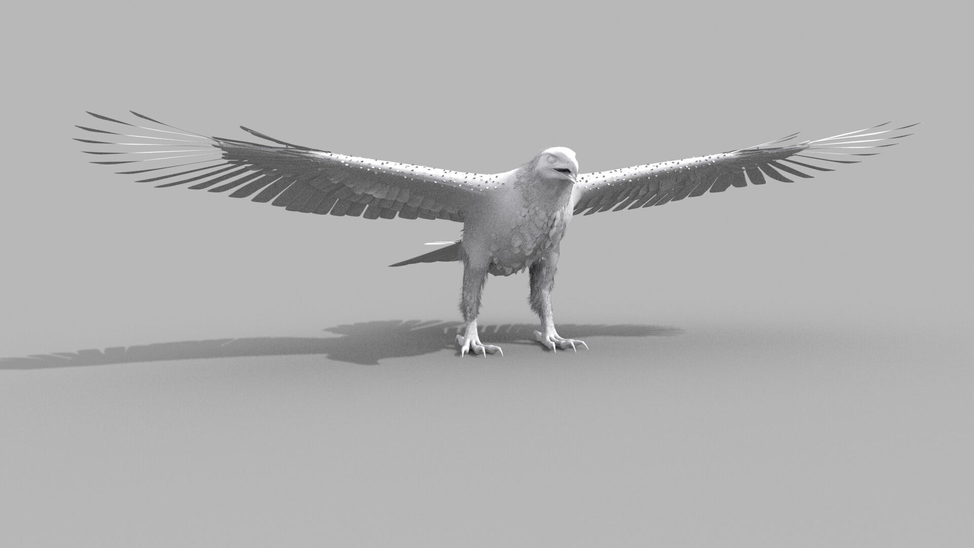 Eagle Aguia Shape 3D model_2