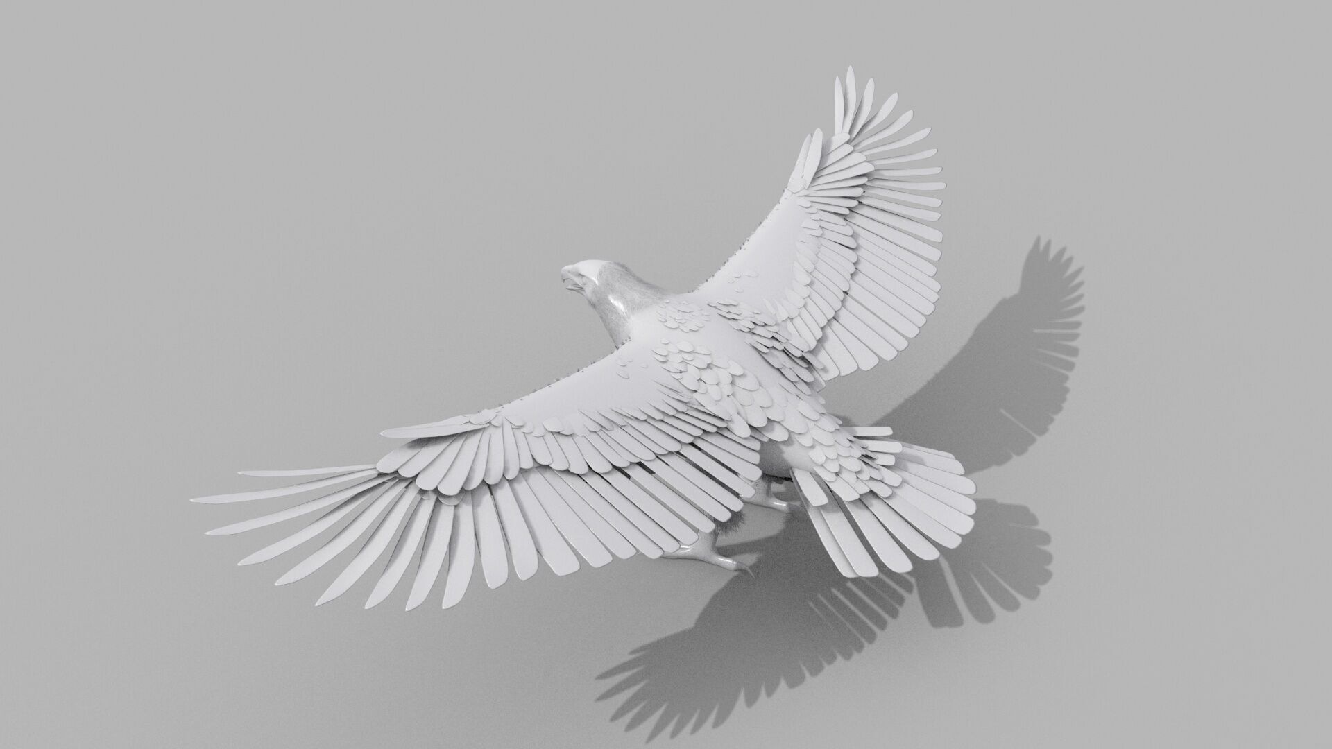 Eagle Aguia Shape 3D model_3