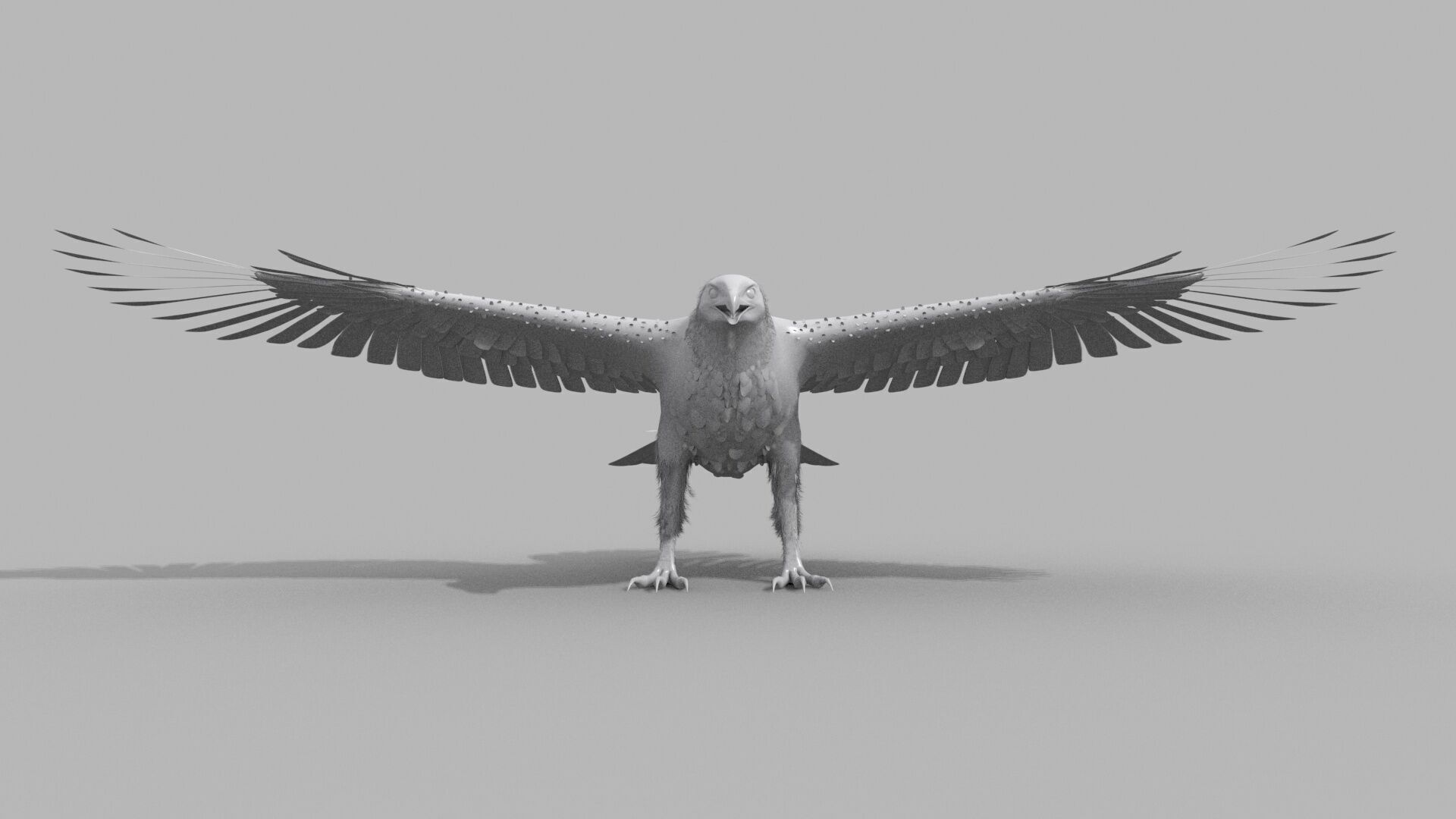 Eagle Aguia Shape 3D model_5