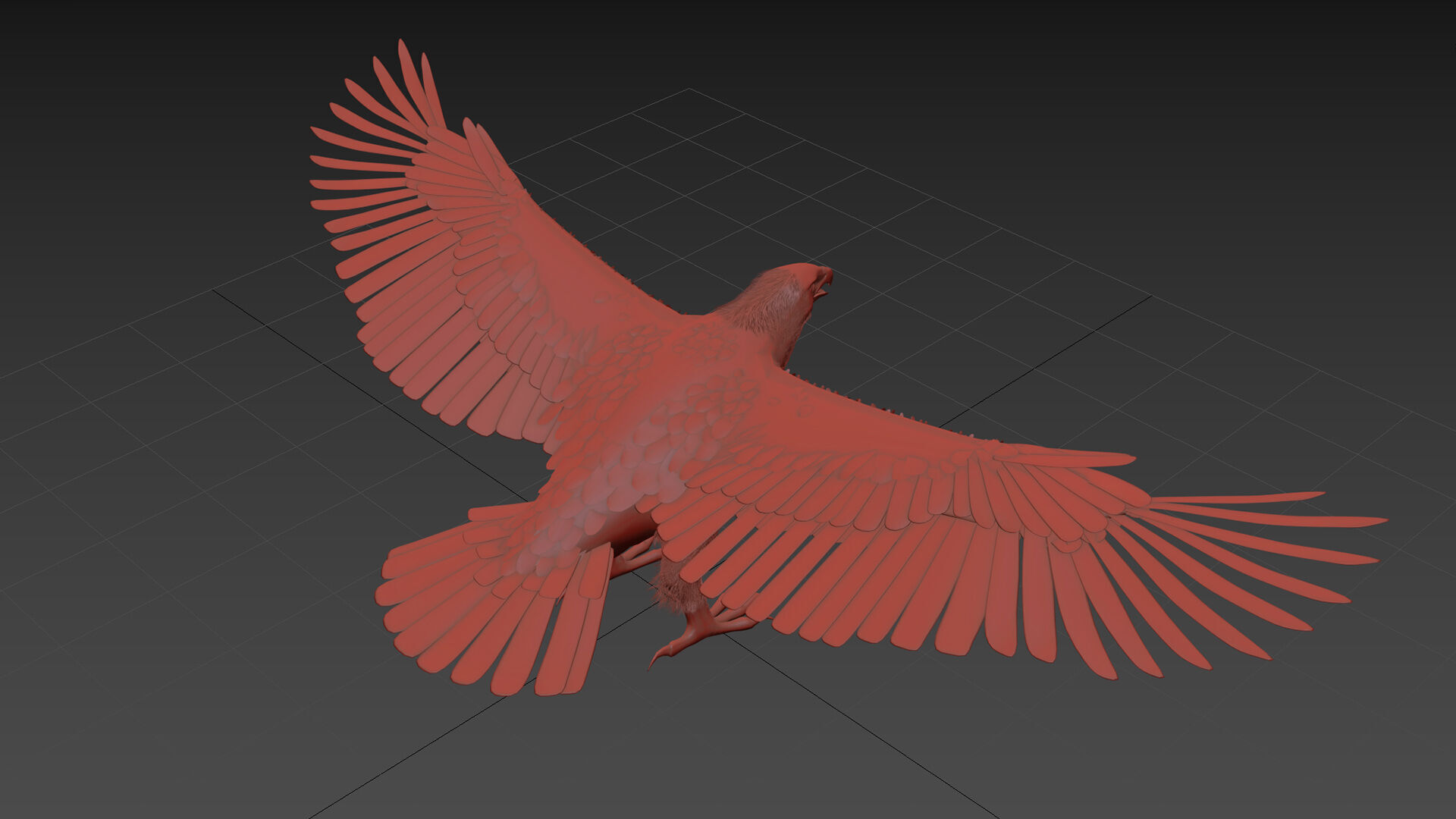 Eagle Aguia Shape 3D model_10