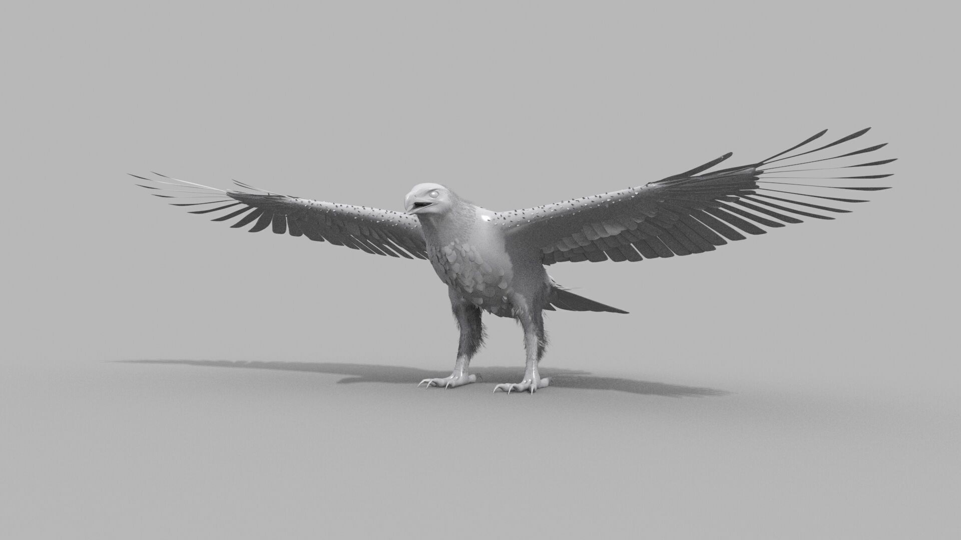 Eagle Aguia Shape 3D model_4