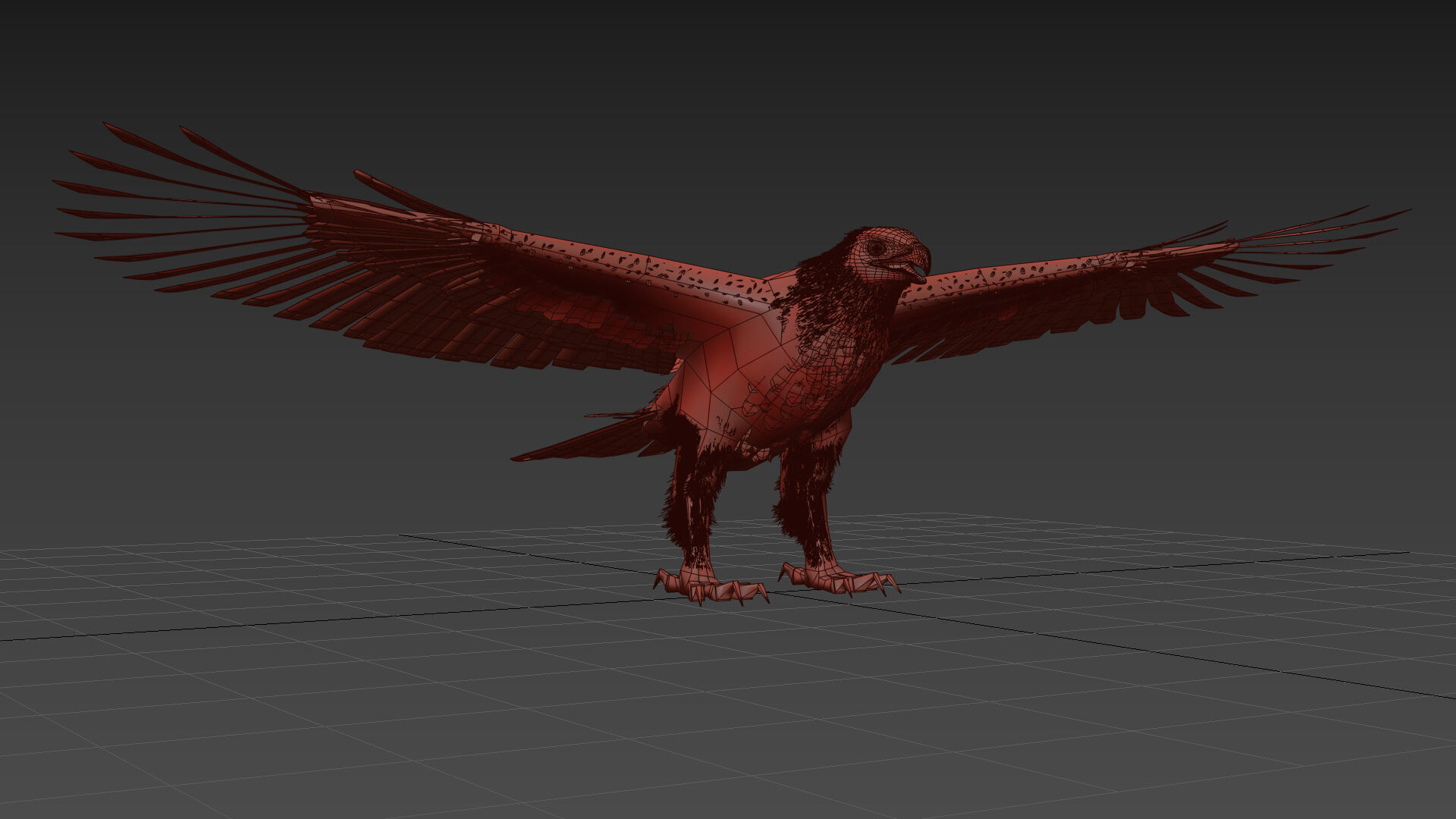 Eagle Aguia Shape 3D model_6