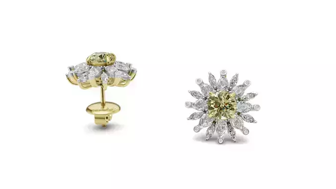 Cluster Pointer Diamond Studs for Women with Fancy Diamond