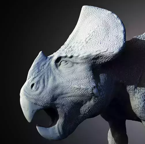 Protoceratops  The Hornless Frilled Ancestor 3D print model