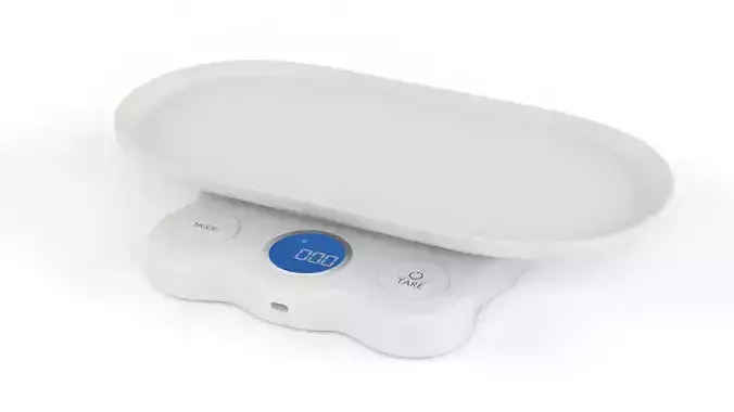 Digital Weight Scale