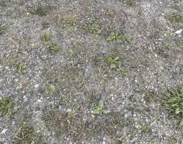 Rocky Terrain PBR Textures Pack 7