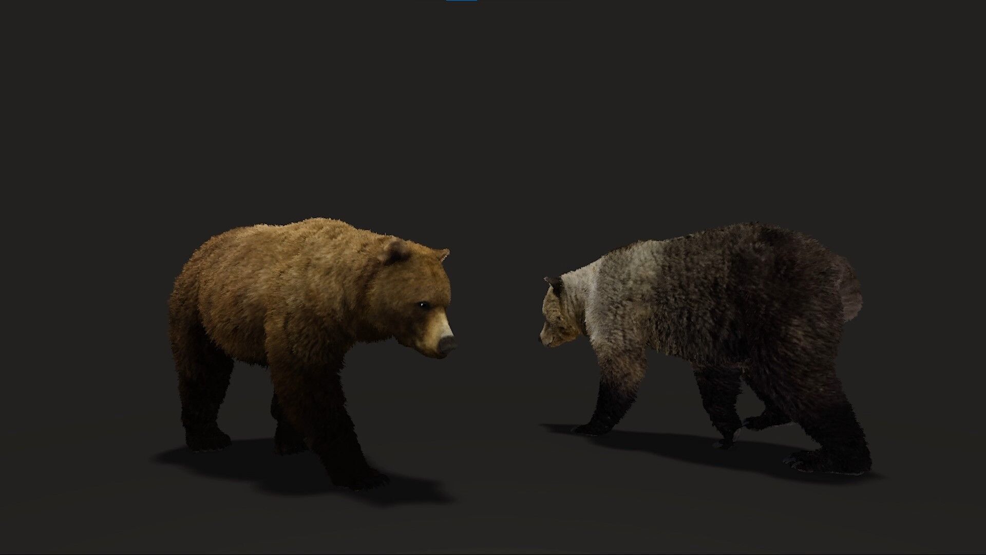 Realistic Animated Bear v2 Low-poly 3D model_9