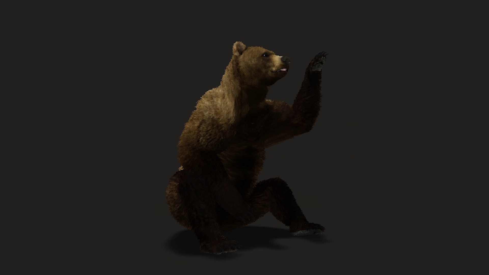 Realistic Animated Bear v2 Low-poly 3D model_6
