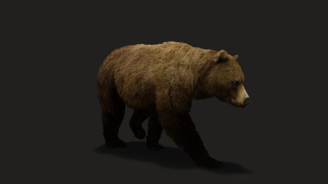 Realistic Animated Bear v2 Low-poly 3D model