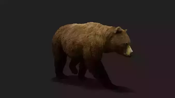 Realistic Animated Bear v2 Low-poly 3D model