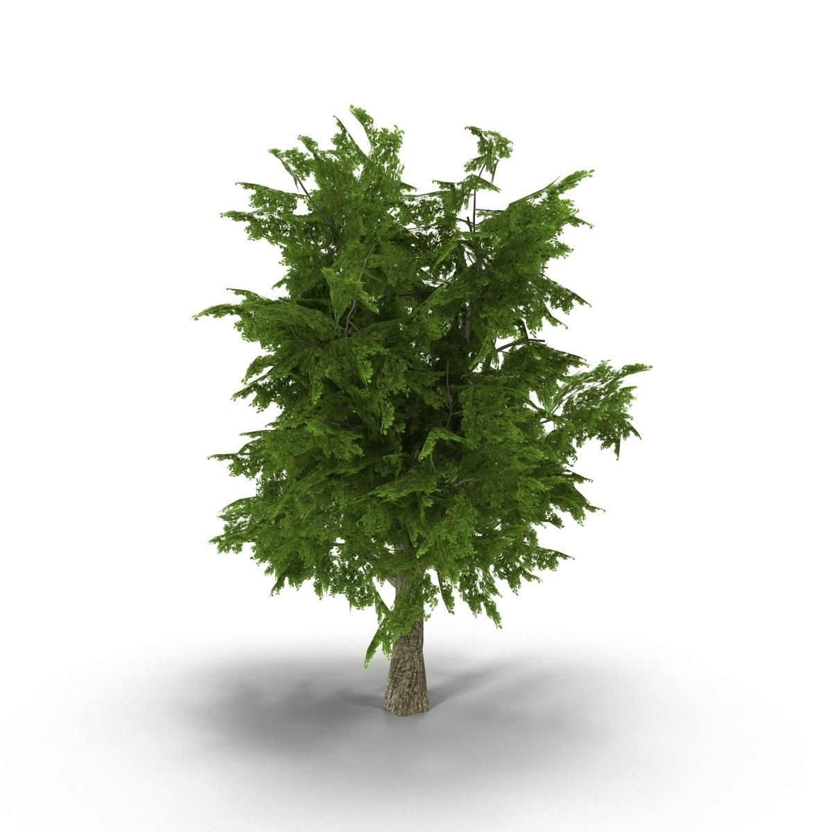 Tree LOW POLY juniper Low-poly 3D model_4