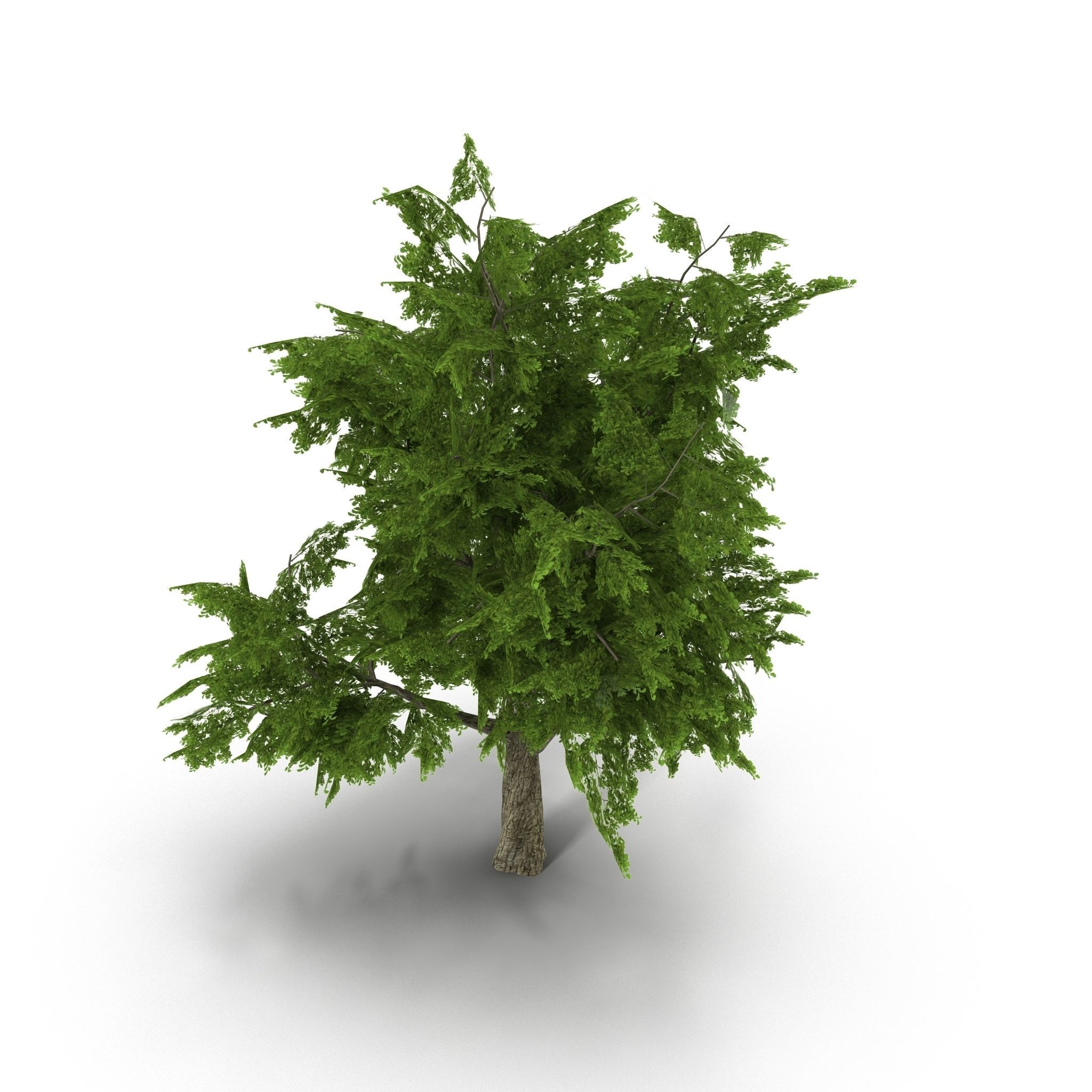 Tree LOW POLY juniper Low-poly 3D model_9