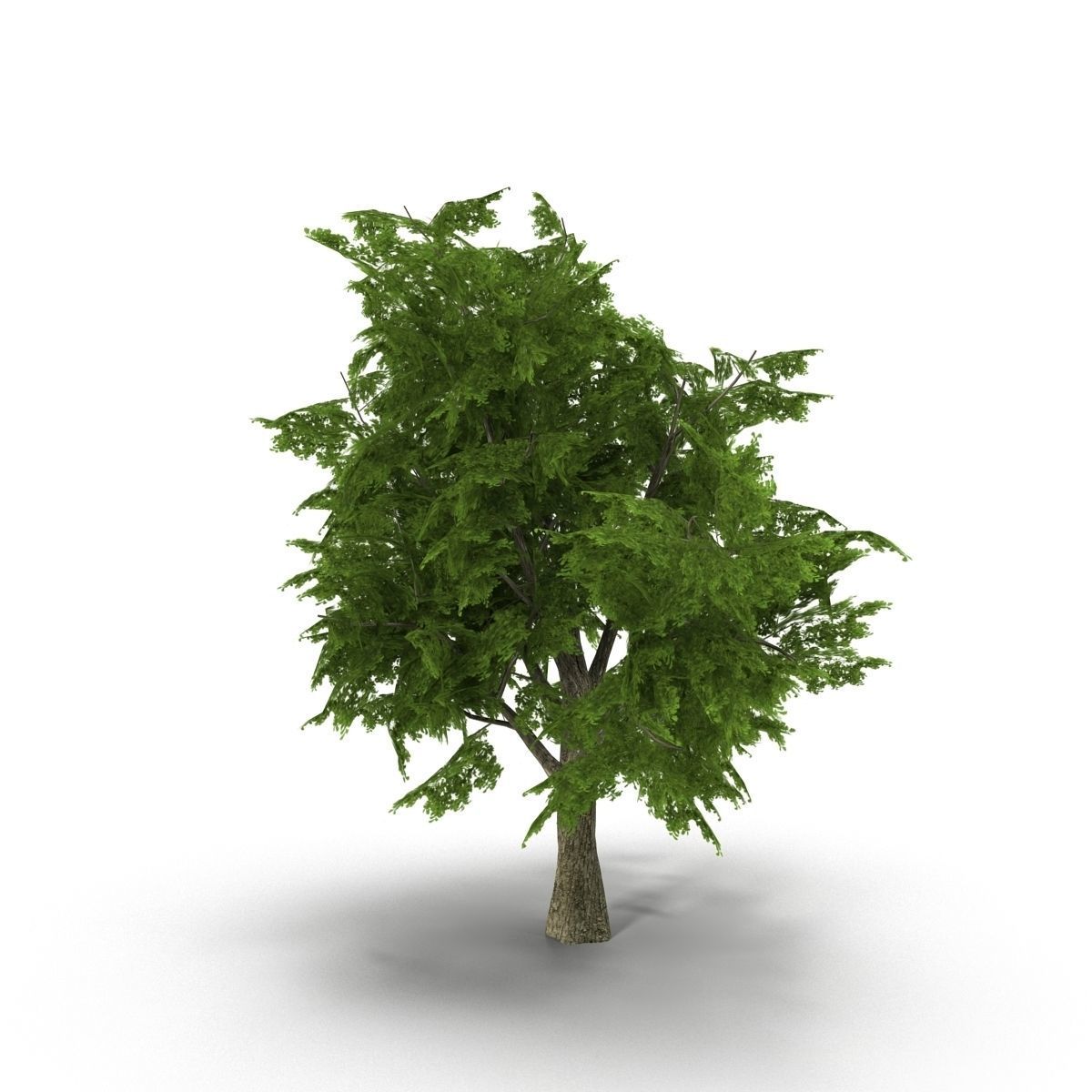 Tree LOW POLY juniper Low-poly 3D model_3