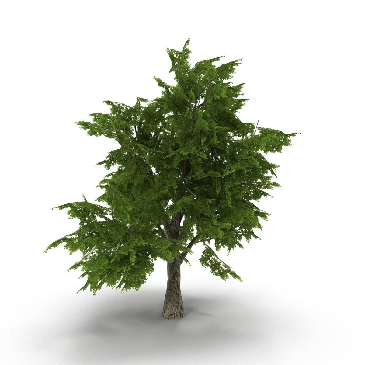 Tree LOW POLY juniper Low-poly 3D model_2
