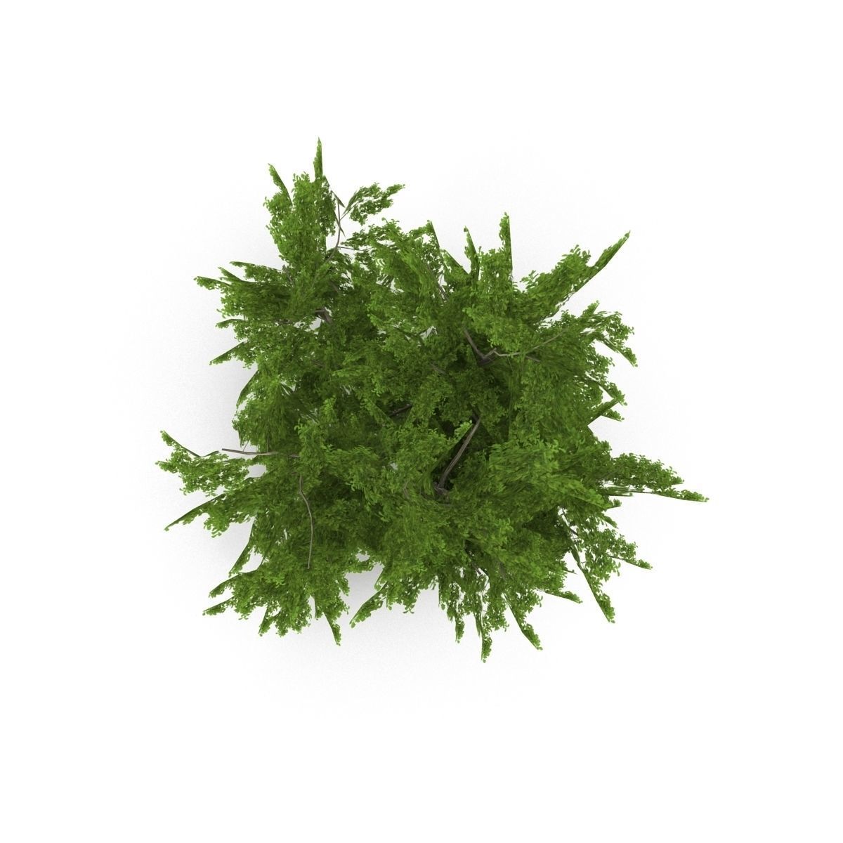 Tree LOW POLY juniper Low-poly 3D model_7