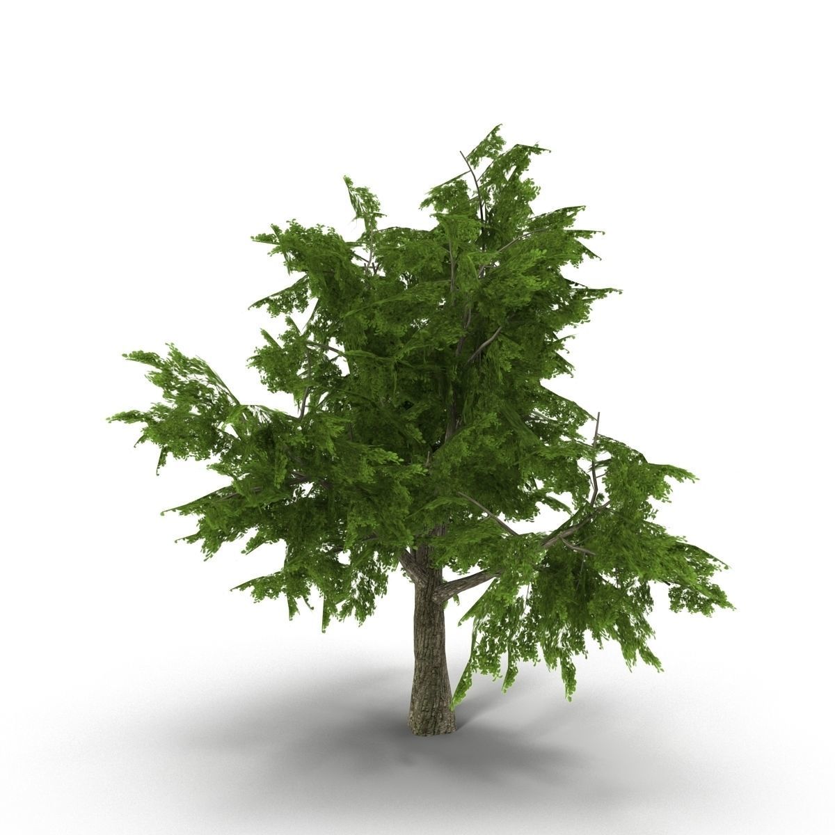 Tree LOW POLY juniper Low-poly 3D model_6