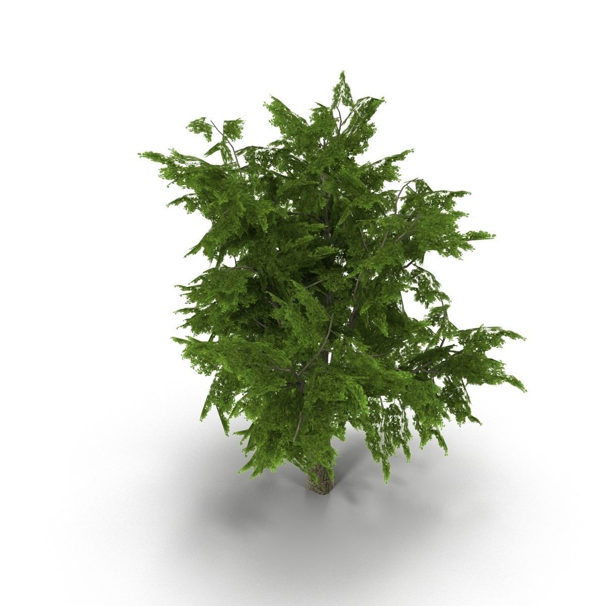 Tree LOW POLY juniper Low-poly 3D model_1