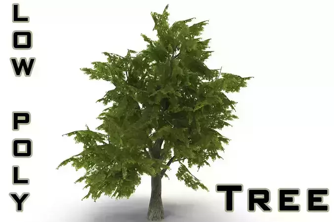 Tree LOW POLY juniper Low-poly 3D model