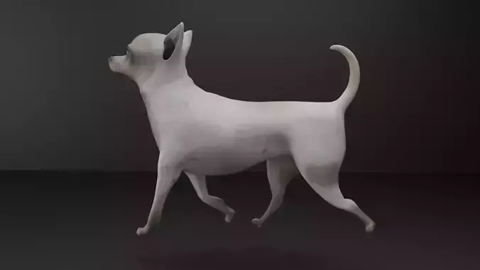 dog animated