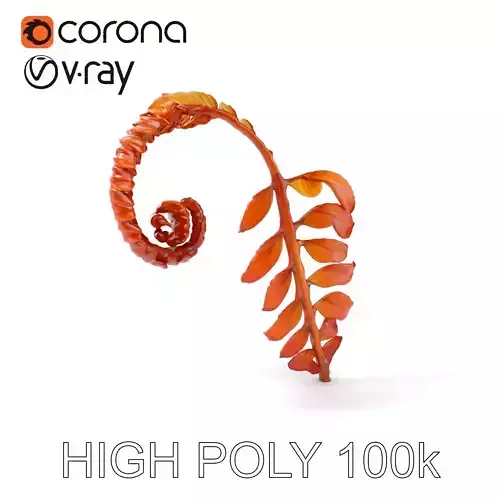 Curled Fern Leaf Model Pack  Detailed Botanical Sculpt