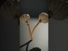 Dried Seed Pod Model Pack Low-poly 3D model_2