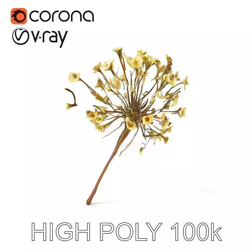 Babys Breath Flower Model Pack for Realistic Environments