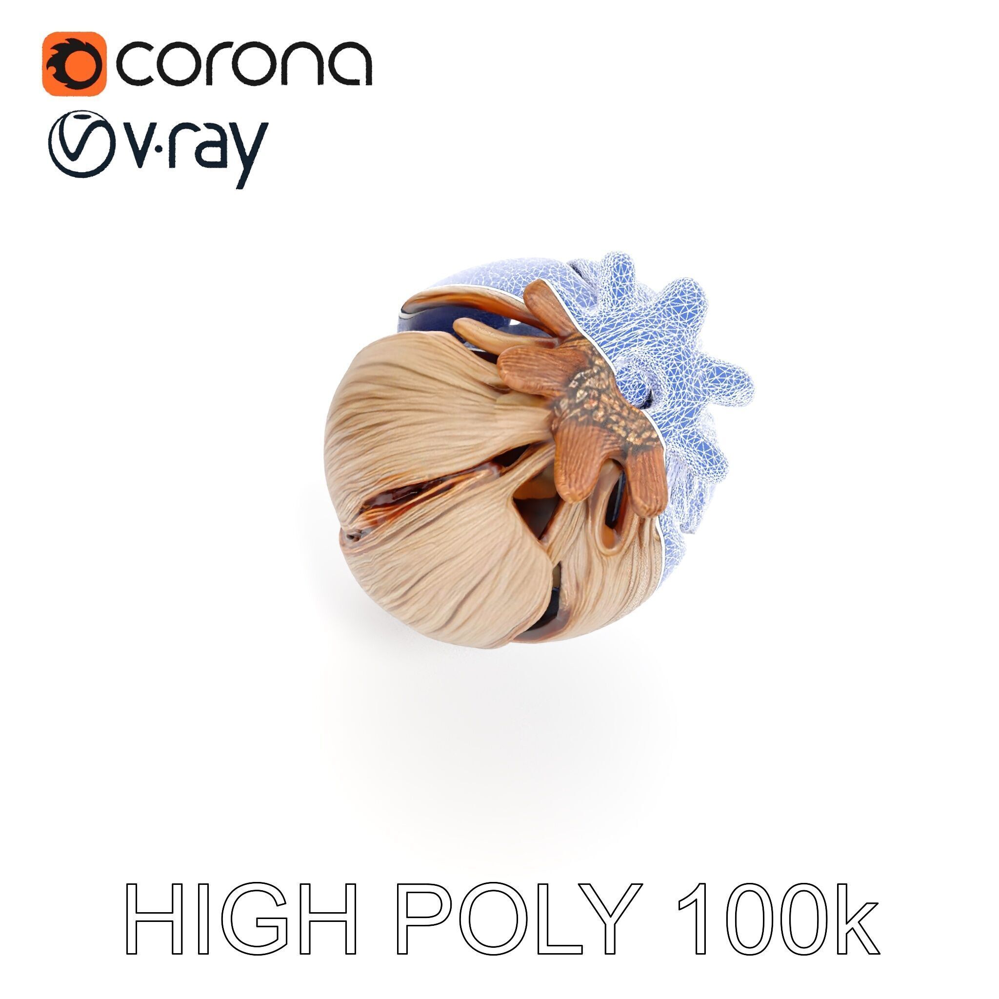 Decorative Seed Pod Model Pack for Realistic Rendering Low-poly 3D model_32