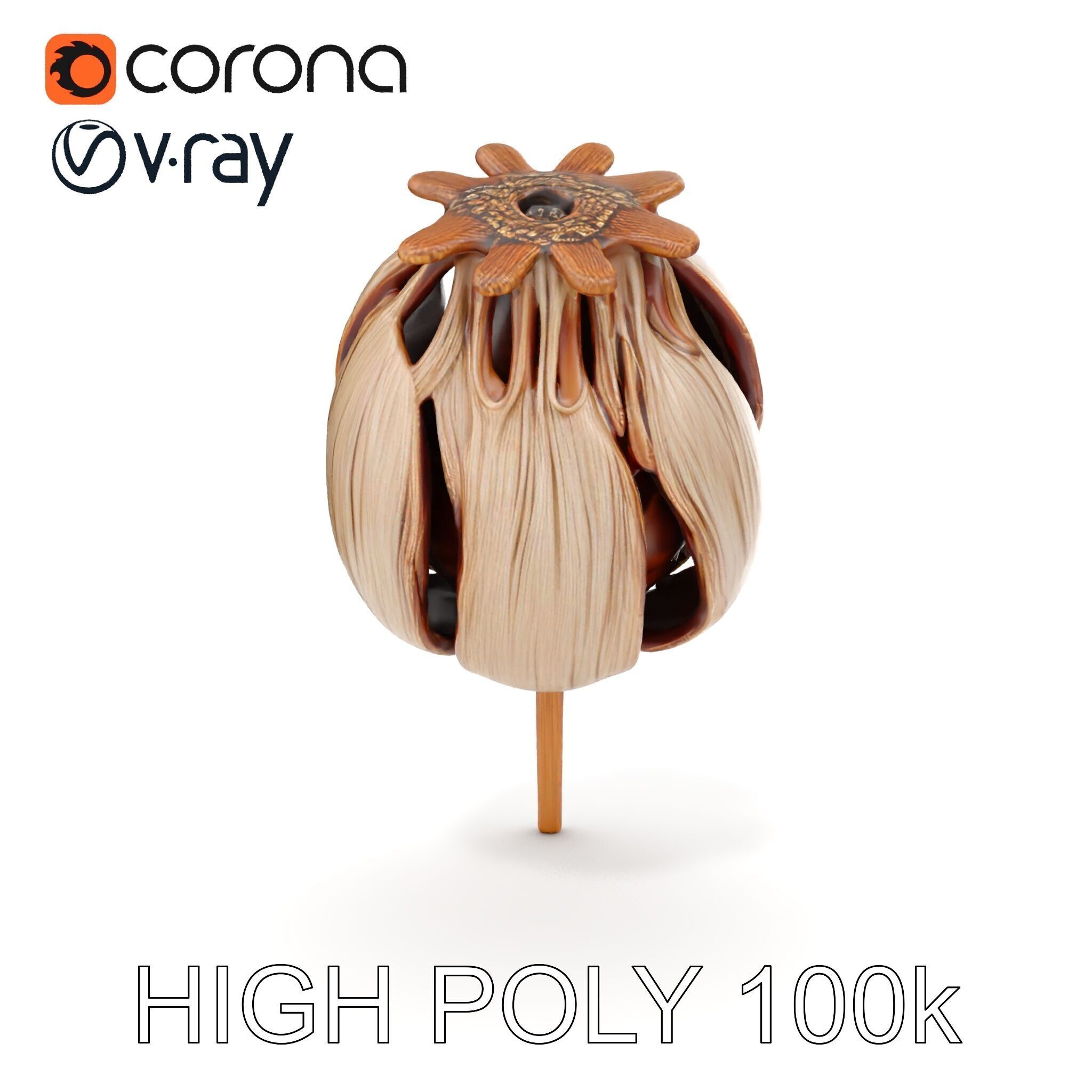 Decorative Seed Pod Model Pack for Realistic Rendering Low-poly 3D model_18