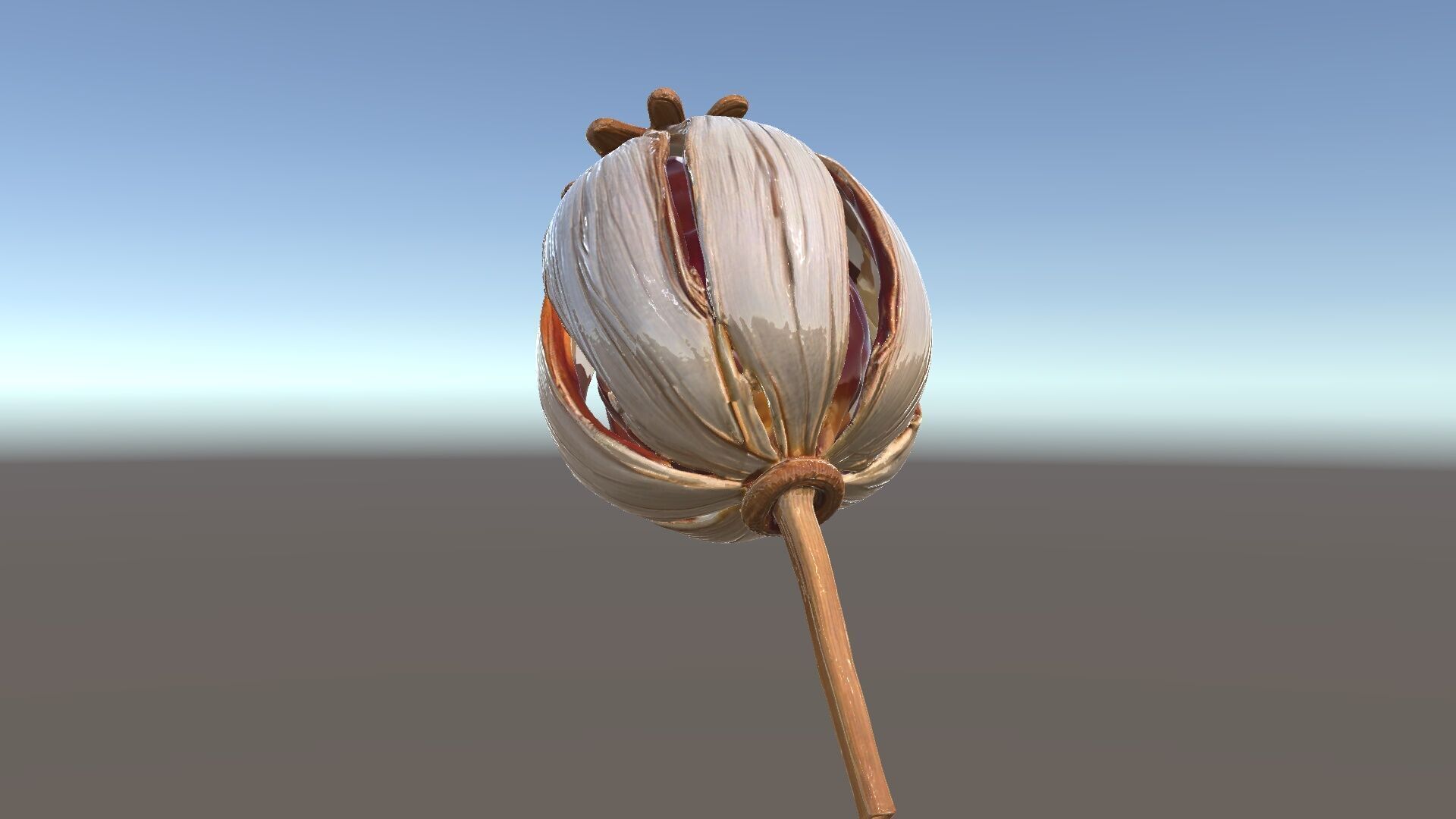 Decorative Seed Pod Model Pack for Realistic Rendering Low-poly 3D model_6