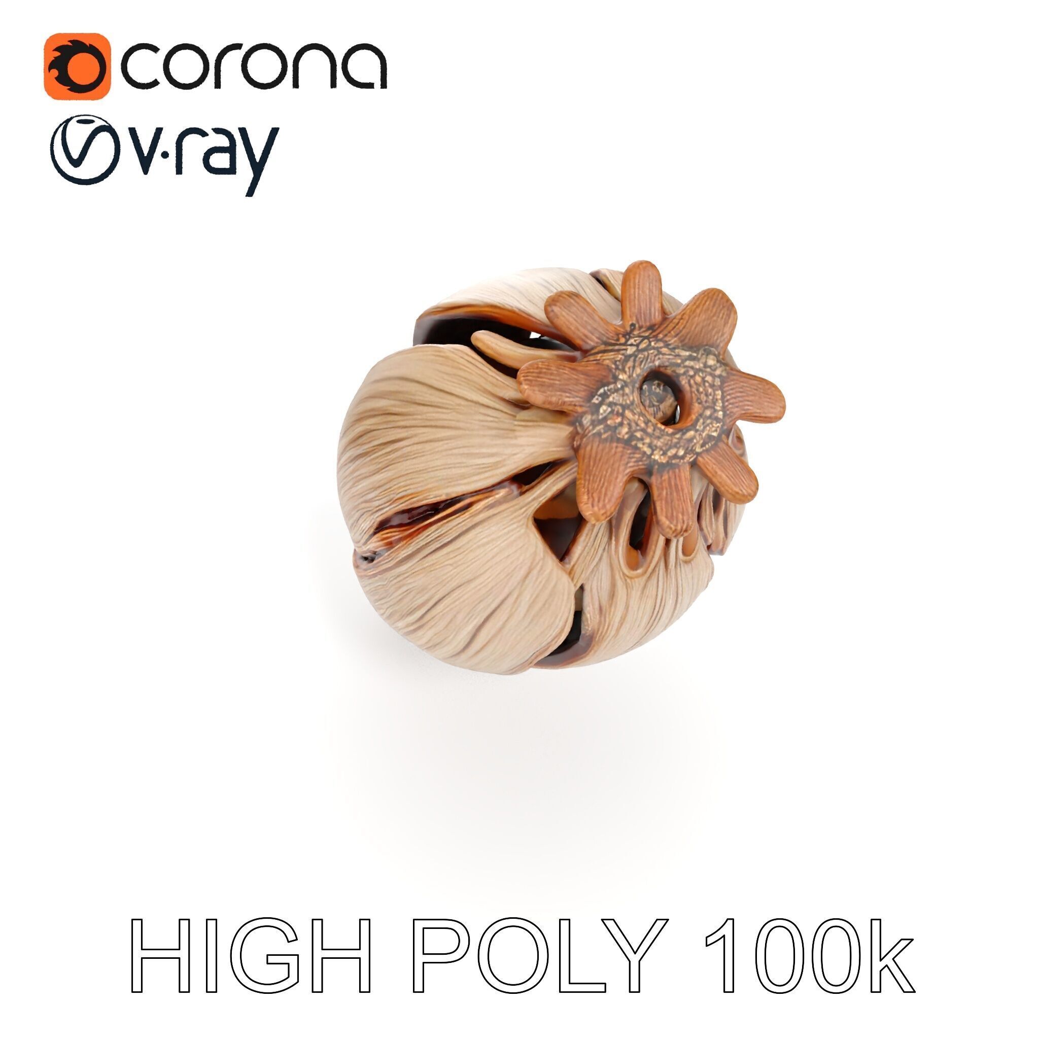 Decorative Seed Pod Model Pack for Realistic Rendering Low-poly 3D model_24