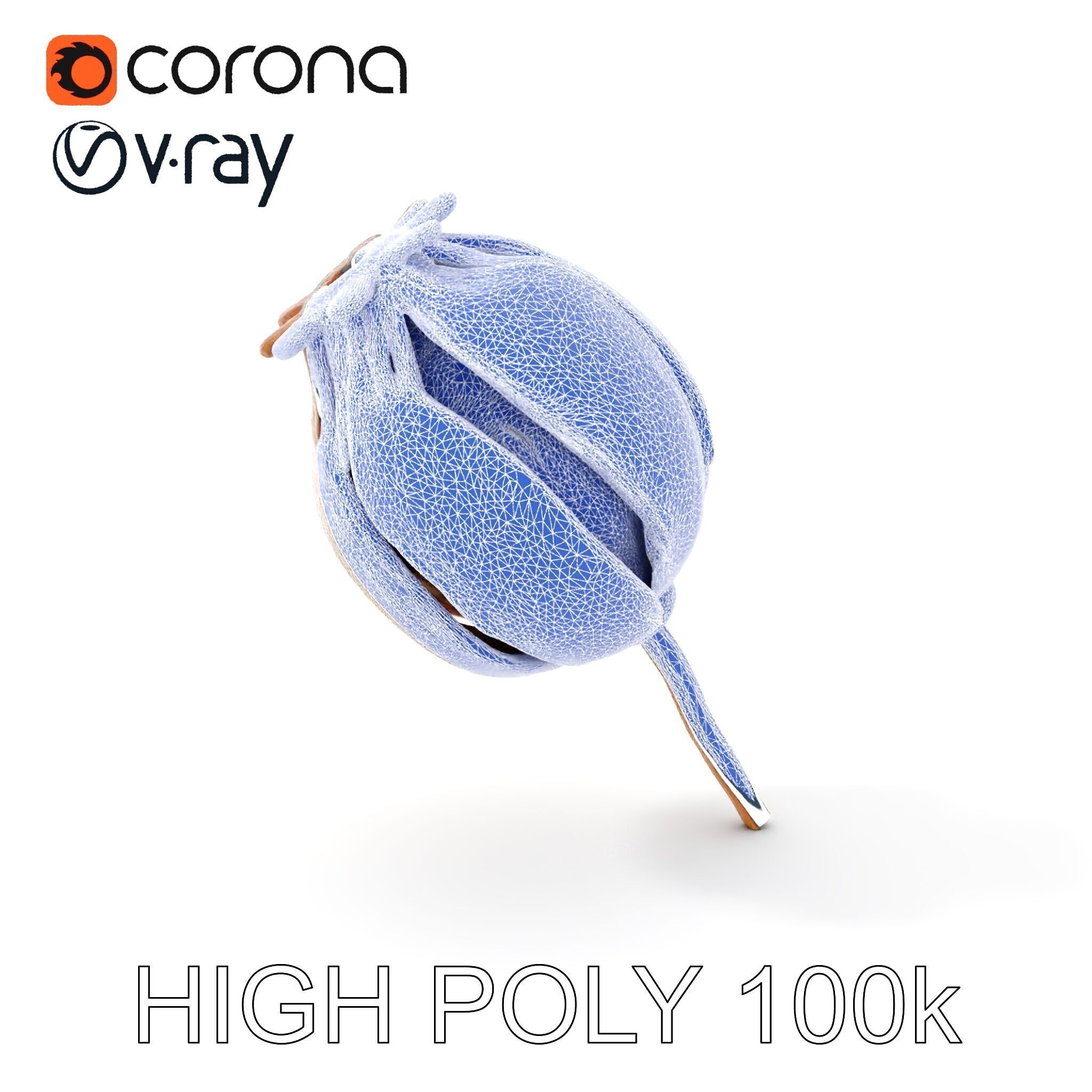 Decorative Seed Pod Model Pack for Realistic Rendering Low-poly 3D model_25