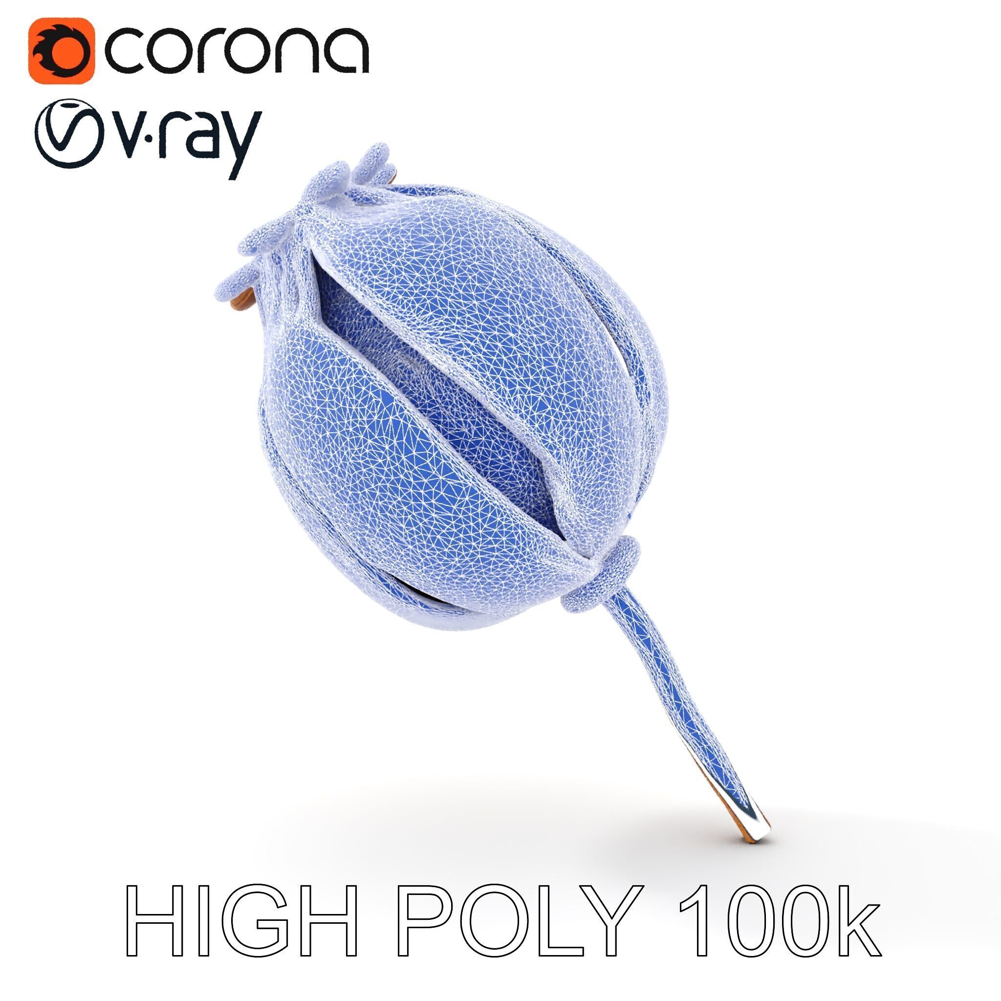 Decorative Seed Pod Model Pack for Realistic Rendering Low-poly 3D model_28