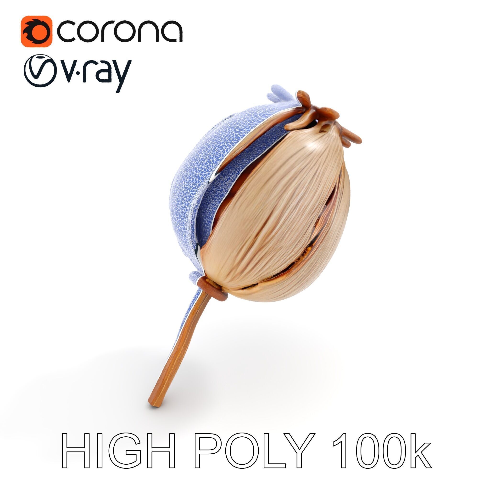 Decorative Seed Pod Model Pack for Realistic Rendering Low-poly 3D model_13