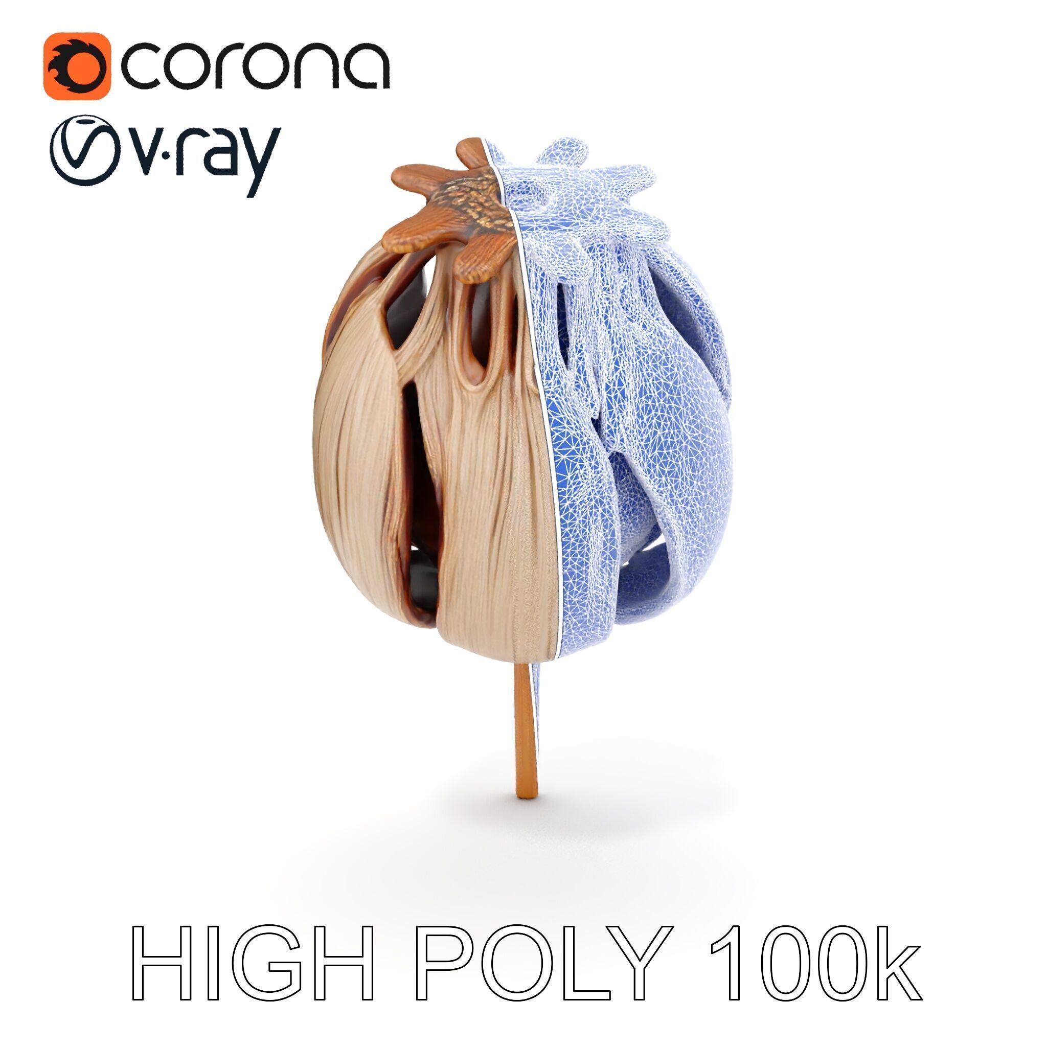 Decorative Seed Pod Model Pack for Realistic Rendering Low-poly 3D model_19