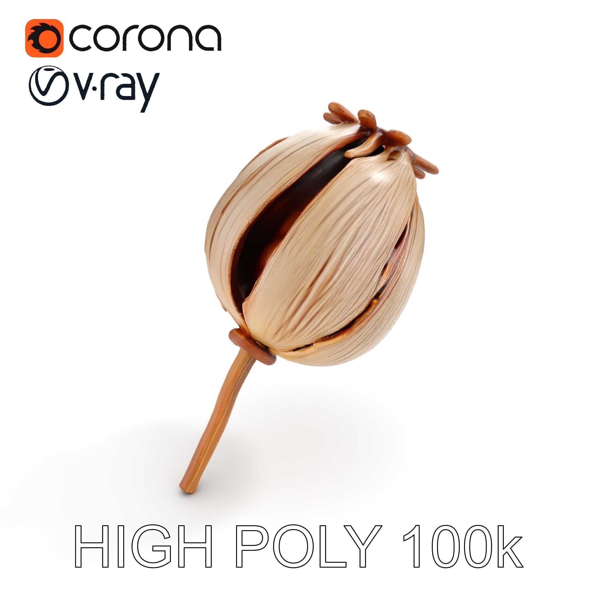 Decorative Seed Pod Model Pack for Realistic Rendering Low-poly 3D model_14