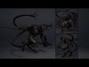 Night Swordman Low-poly 3D model_8
