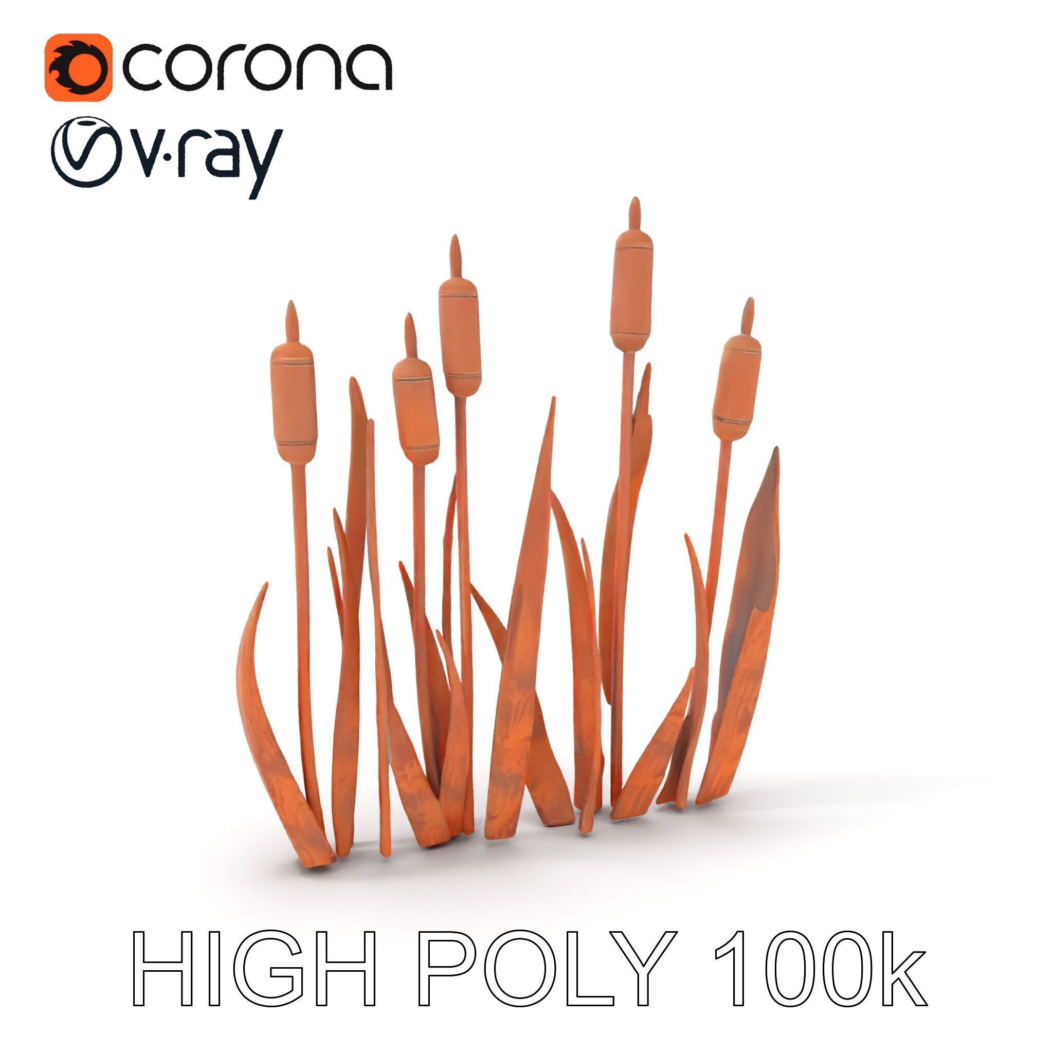 Rustic Cattail Reeds Model Pack Low-poly 3D model_19
