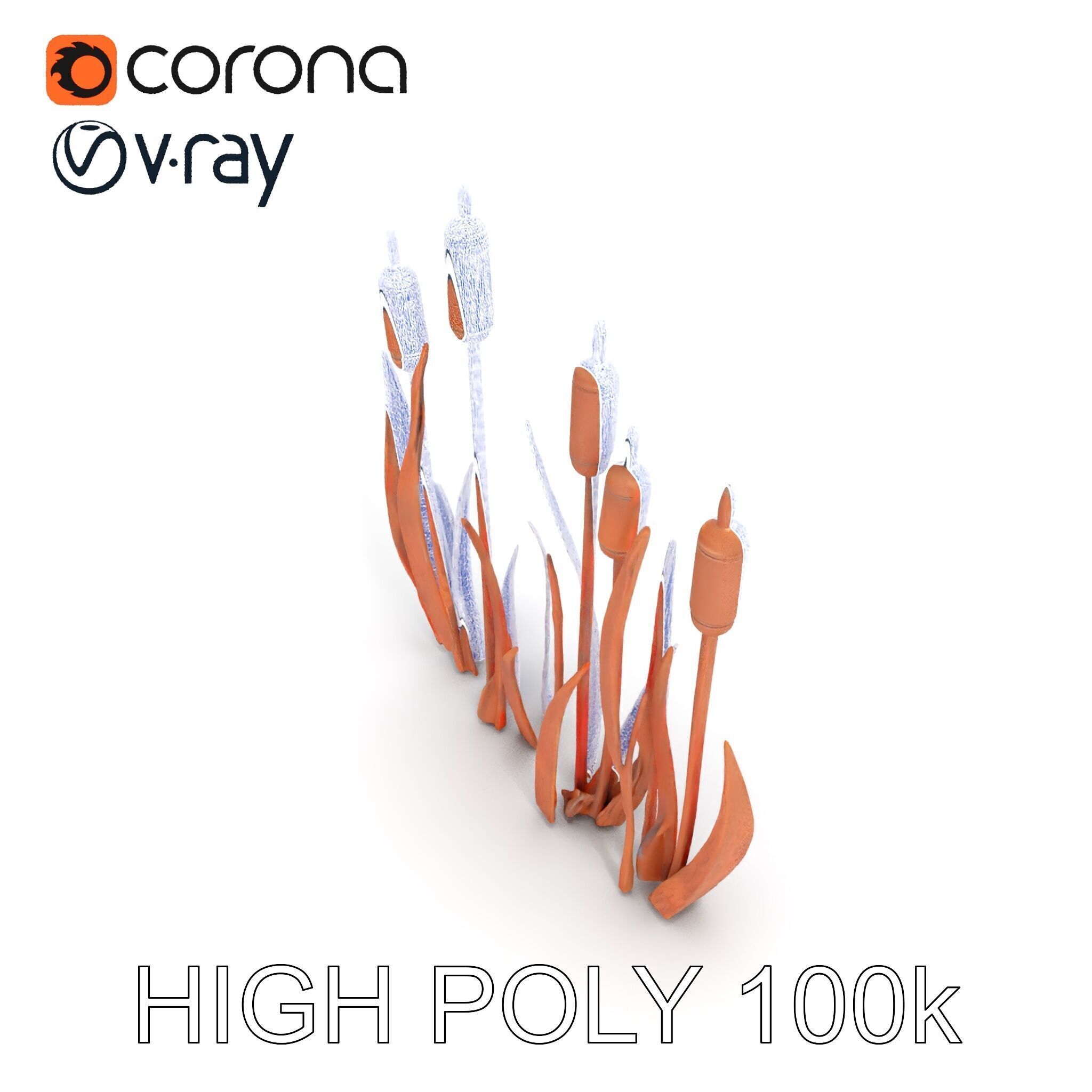 Rustic Cattail Reeds Model Pack Low-poly 3D model_28