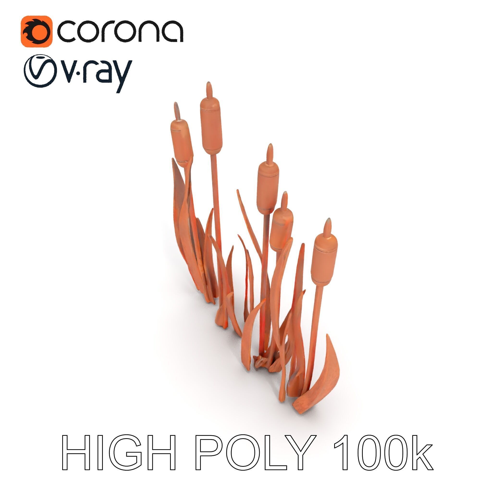Rustic Cattail Reeds Model Pack Low-poly 3D model_10