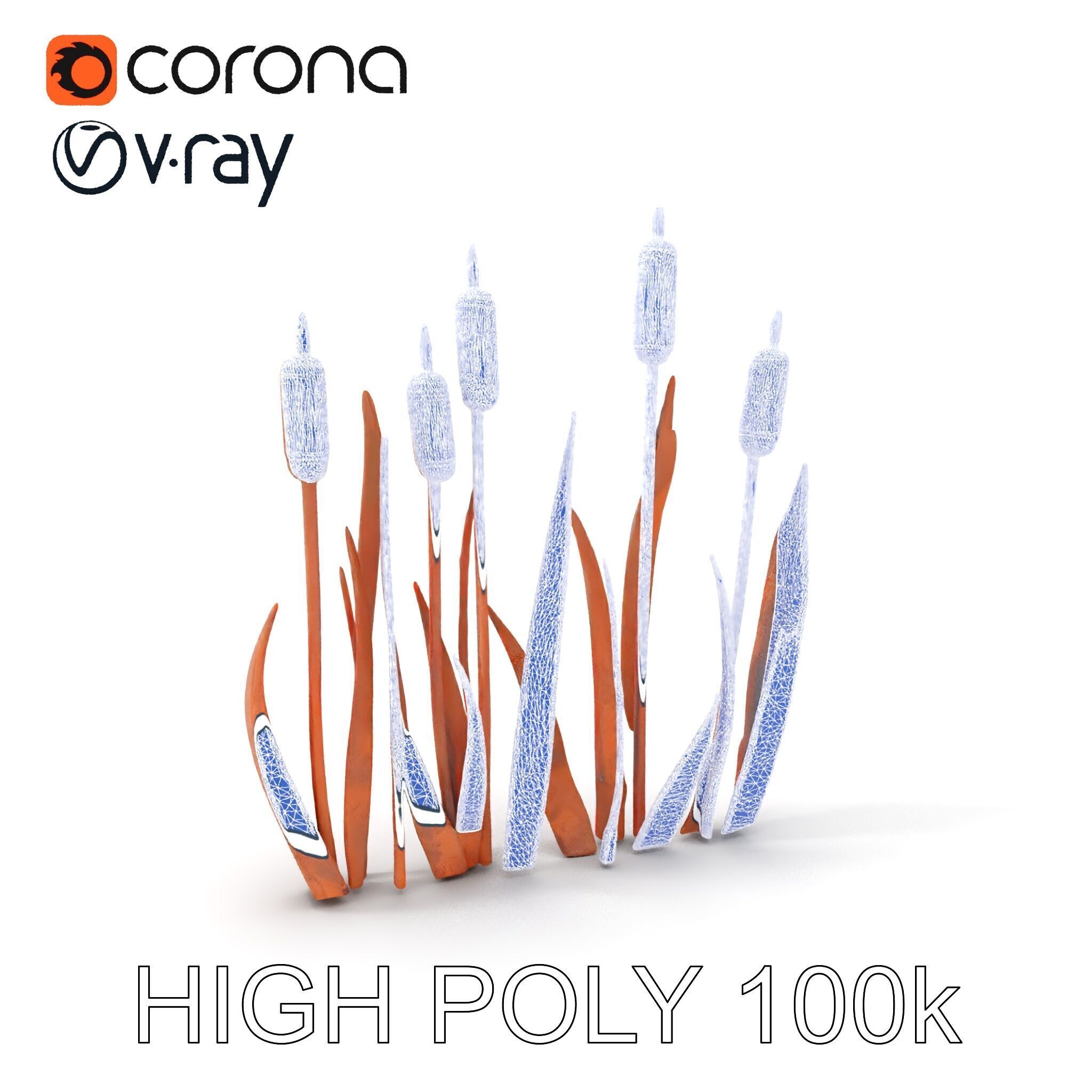 Rustic Cattail Reeds Model Pack Low-poly 3D model_5
