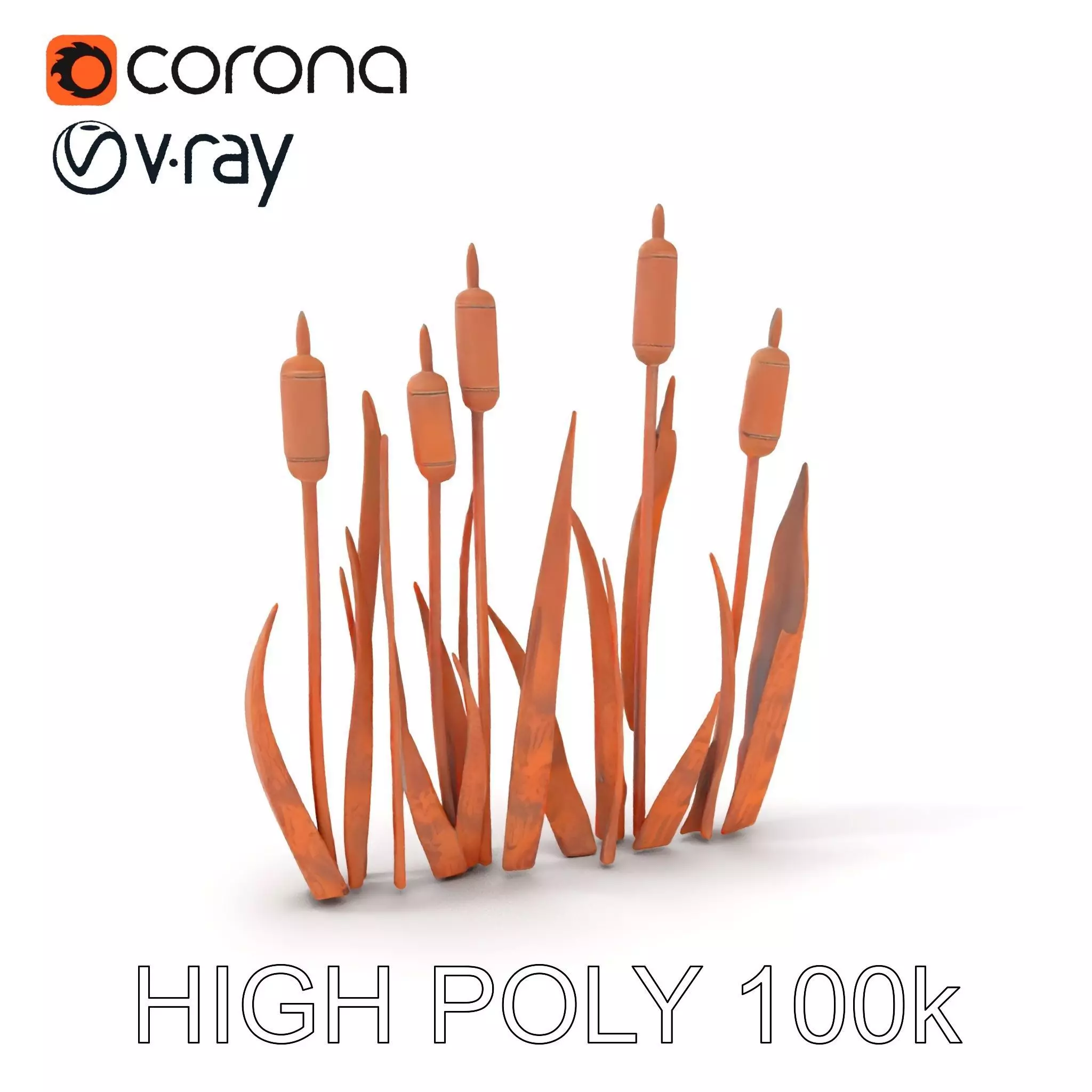 Rustic Cattail Reeds Model Pack Low-poly 3D model_0